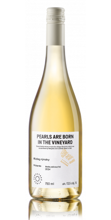 Frizzante Rhein Riesling 2024