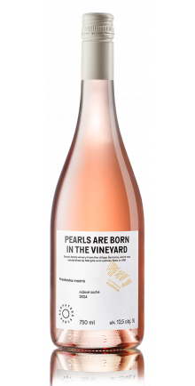Blaufränkisch rosé, BIO 2024